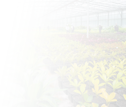 自研开发专利</span>